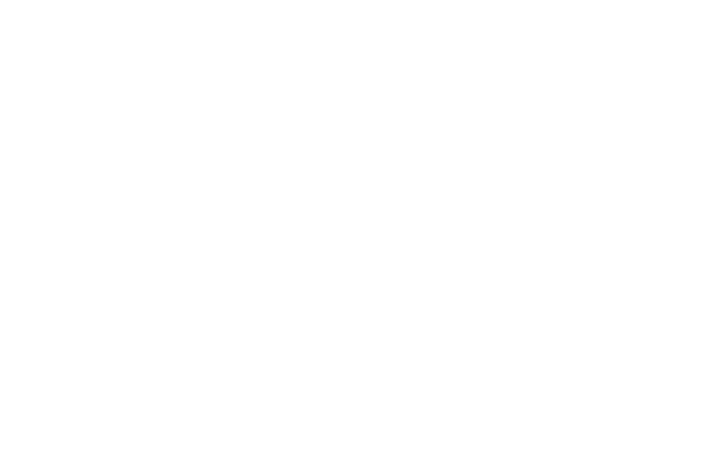 Logo pilates plus